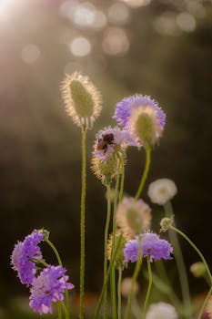 Transform Your Outdoors: Create Sustainable Spaces for Community and Nature