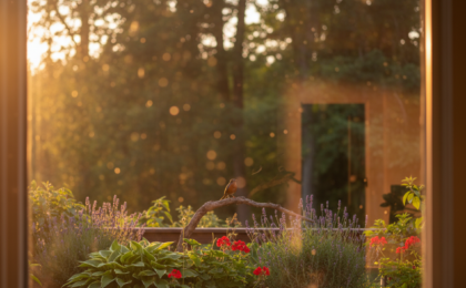 photography through glass